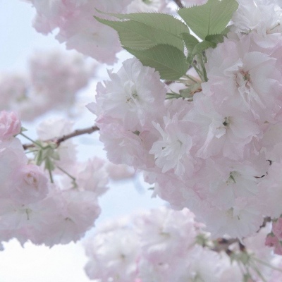 榕江FurryQQ群介绍